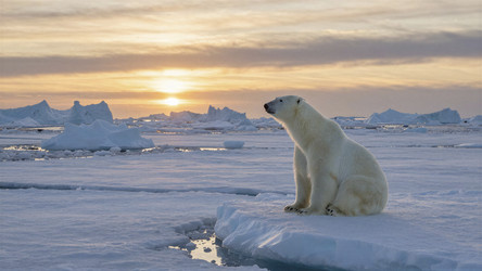 Similar image 22498002