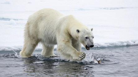 Similar image 22498003