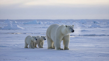 Similar image 22494556