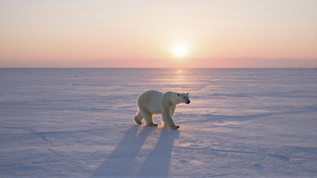 Similar image 22498050