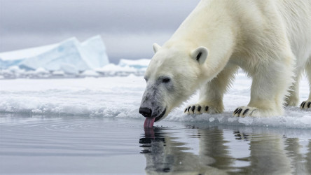 Similar image 22494565