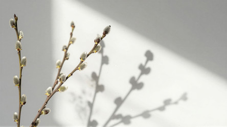 Similar image 22498125