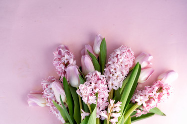 Similar image 22501743