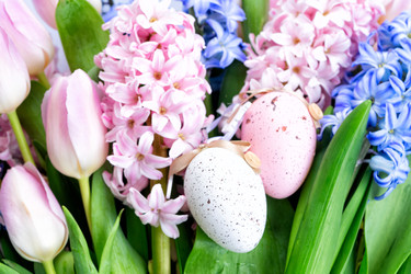 Similar image 22501747