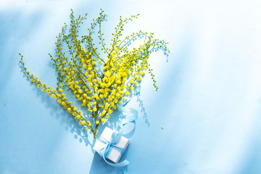 Similar image 22501754