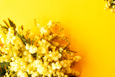 Similar image 22501757