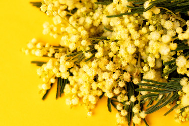 Similar image 22501758