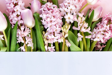 Similar image 22501764