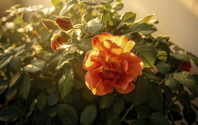 Similar image 22488683