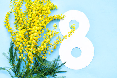 Similar image 22501767