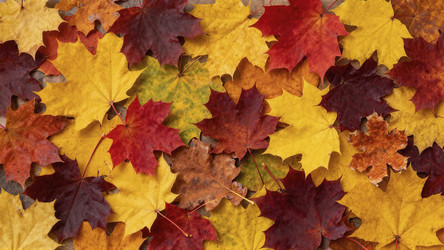 Similar image 22494644