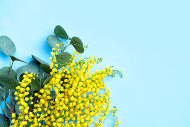 Similar image 22501772