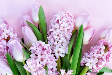 Similar image 22501774