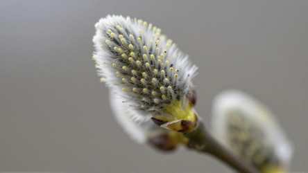 Similar image 22488711