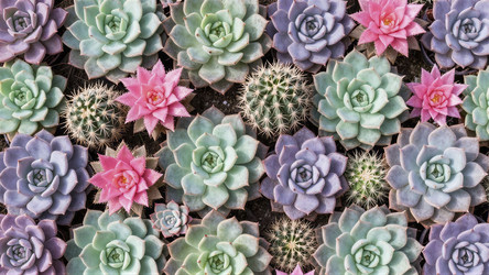 Similar image 22488714