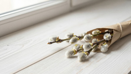 Similar image 22488577