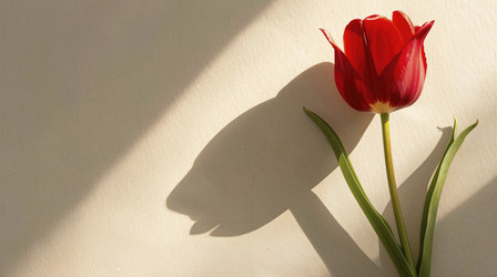 Similar image 22488578