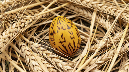 Similar image 22488586