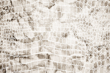 Similar image 22489457