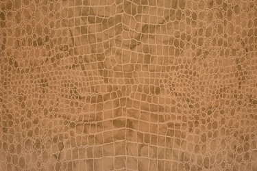 Similar image 22489462