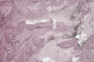 Similar image 22489465