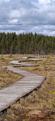 Similar image 22488247