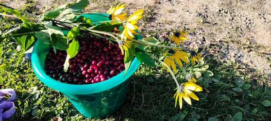 Similar image 22489873