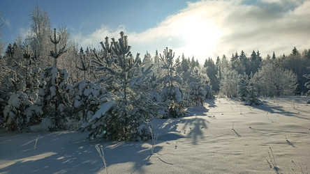 Similar image 22489874