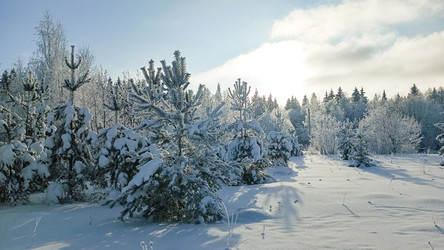 Similar image 22489875