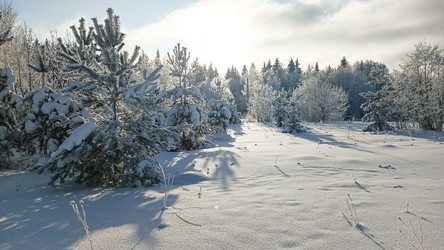 Similar image 22489861