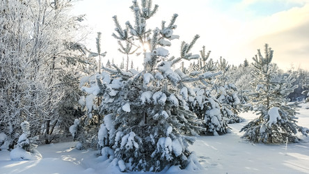 Similar image 22489862