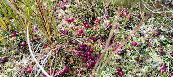 Similar image 22489863