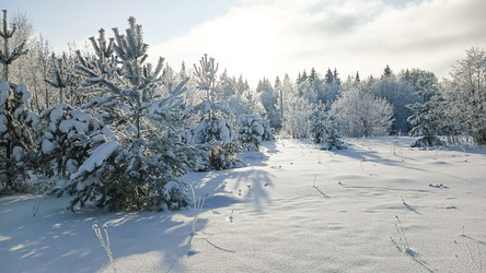 Similar image 22489864