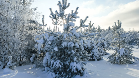 Similar image 22489865