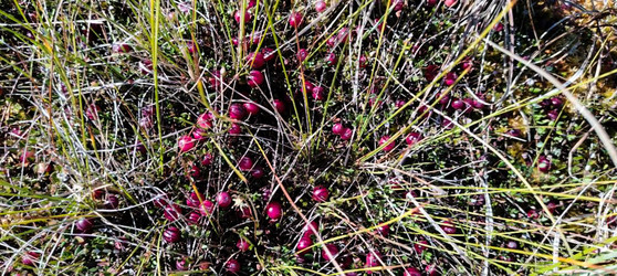 Similar image 22489866