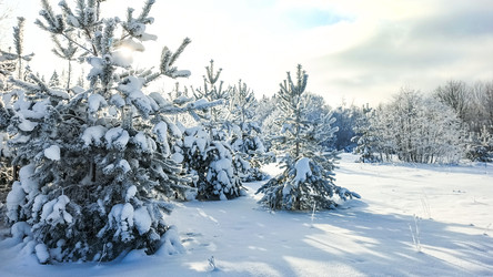 Similar image 22489867