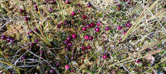 Similar image 22489868