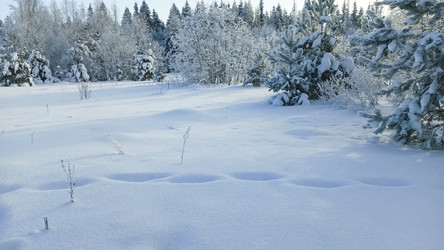 Similar image 22489869