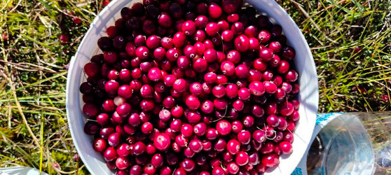 Similar image 22489870