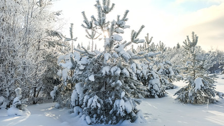 Similar image 22489877