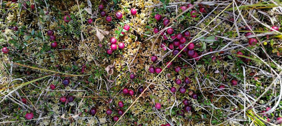 Similar image 22489878