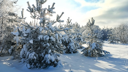 Similar image 22489880