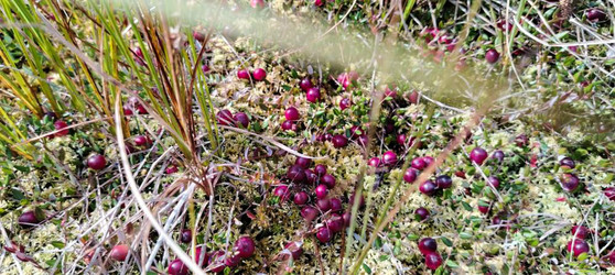 Similar image 22489881