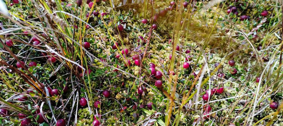 Similar image 22489882