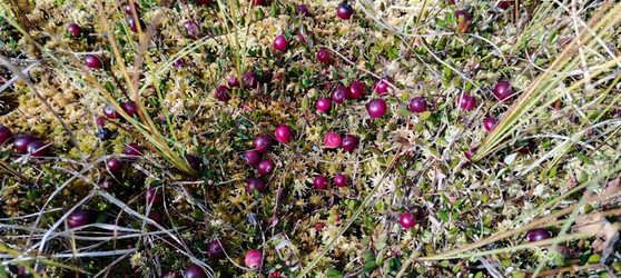 Similar image 22489883