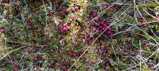 Similar image 22489884