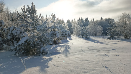 Similar image 22489885