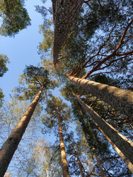 Similar image 22492060