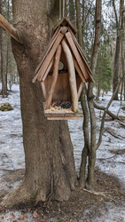 Similar image 22492079