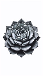 Similar image 22521440